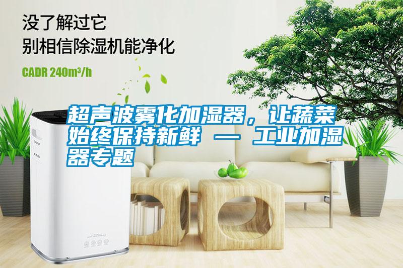 超声波雾化加湿器，让蔬菜始终保持新鲜 — 工业加湿器专题