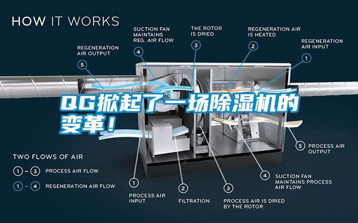 QG掀起了一场除湿机的变革！