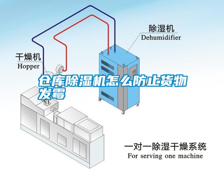 仓库除湿机怎么防止货物发霉