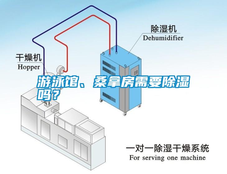 游泳馆、桑拿房需要除湿吗？