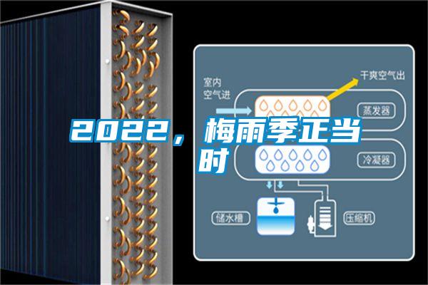 2022，梅雨季正当时