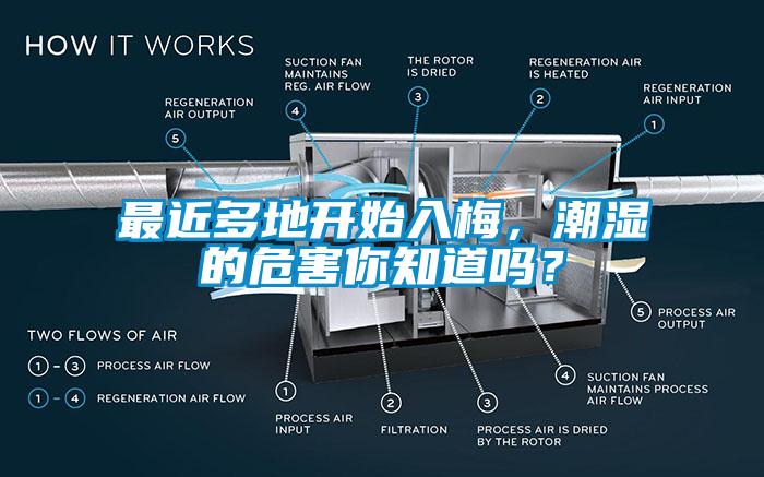 最近多地开始入梅，潮湿的危害你知道吗？