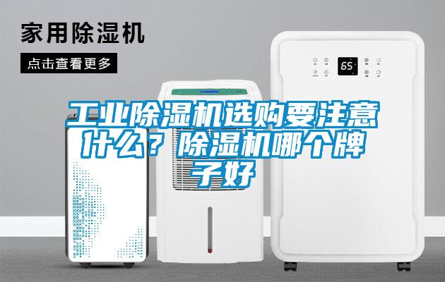 工业除湿机选购要注意什么？除湿机哪个牌子好