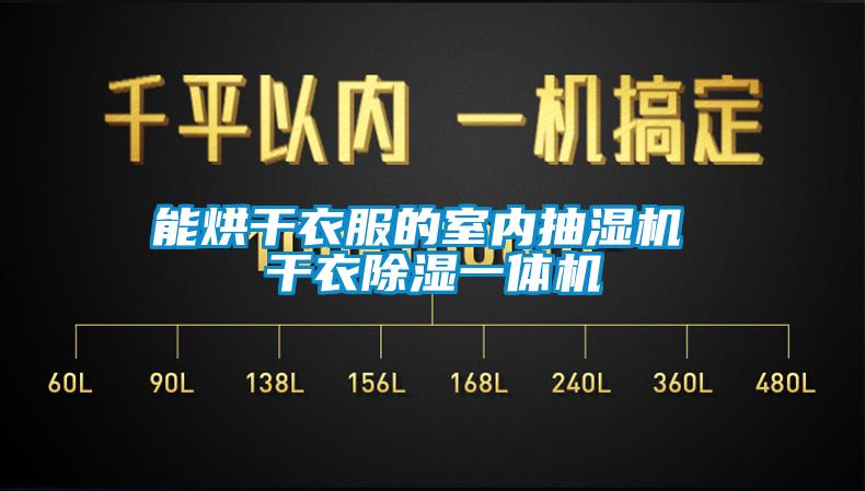 能烘干衣服的室内抽湿机 干衣除湿一体机