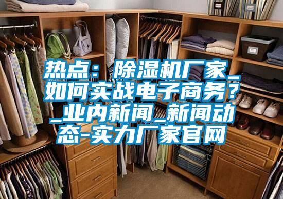 热点：除湿机厂家_如何实战电子商务？_业内新闻_新闻动态-实力厂家官网