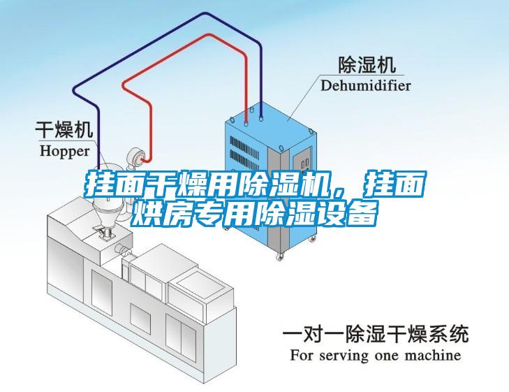 挂面干燥用除湿机，挂面烘房专用除湿设备