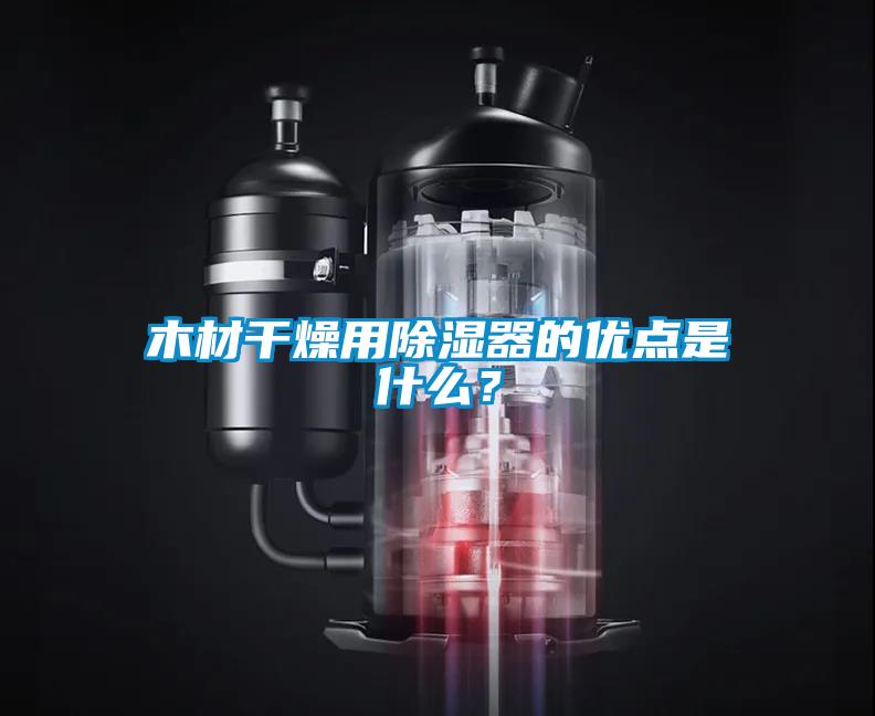 木材干燥用除湿器的优点是什么？