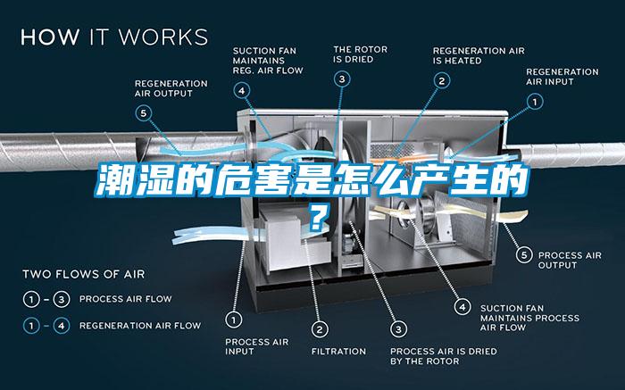 潮湿的危害是怎么产生的？