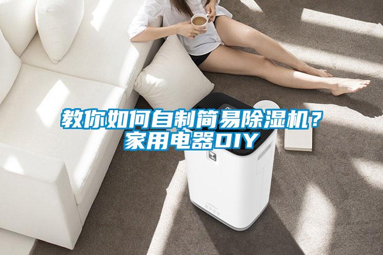 教你如何自制简易除湿机？家用电器DIY