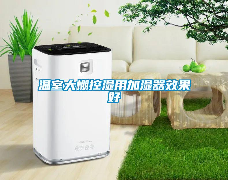 温室大棚控湿用加湿器效果好