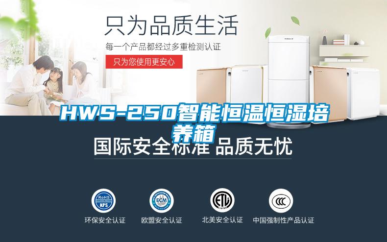 HWS-250智能恒温恒湿培养箱