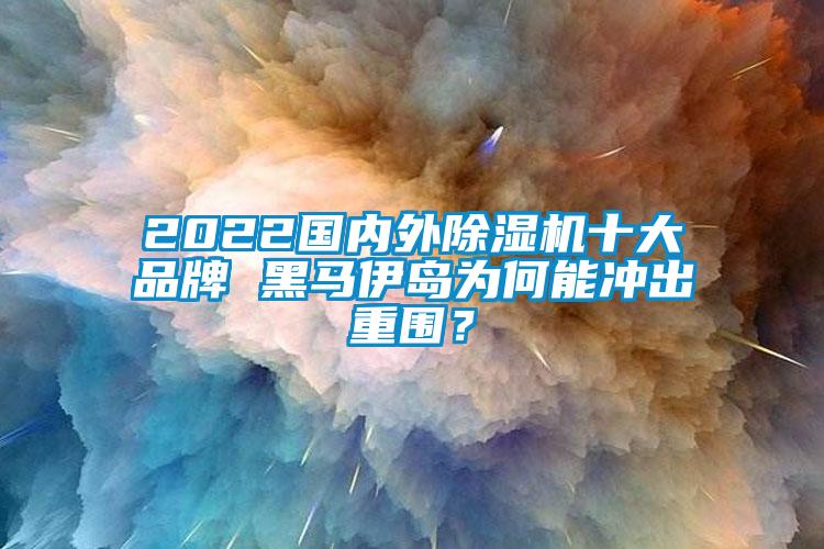 2022国内外除湿机十大品牌 黑马伊岛为何能冲出重围？