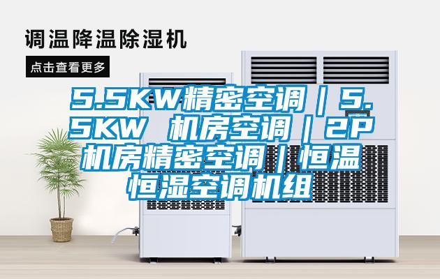 5.5KW精密空调｜5.5KW 机房空调｜2P机房精密空调｜恒温恒湿空调机组