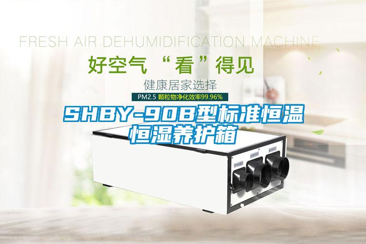 SHBY-90B型标准恒温恒湿养护箱