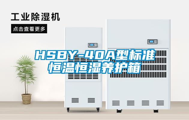 HSBY-40A型标准恒温恒湿养护箱