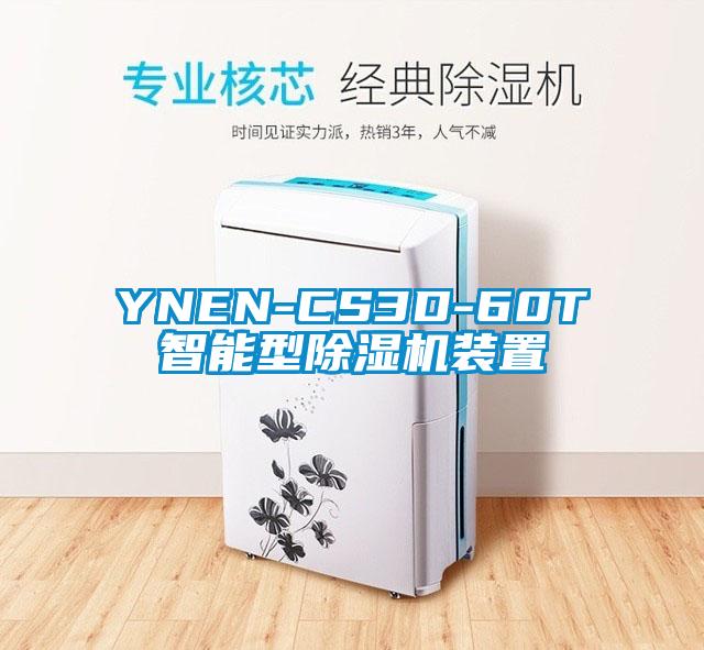 YNEN-CS3D-60T智能型除湿机装置