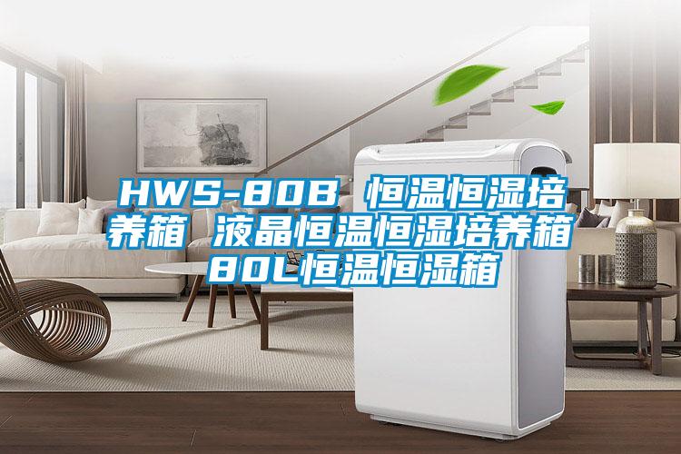 HWS-80B 恒温恒湿培养箱 液晶恒温恒湿培养箱 80L恒温恒湿箱