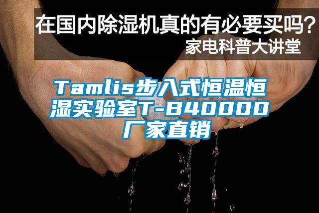 Tamlis步入式恒温恒湿实验室T-B40000 厂家直销