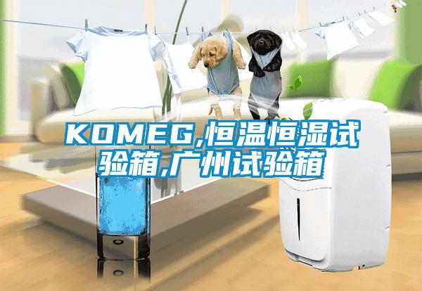 KOMEG,恒温恒湿试验箱,广州试验箱