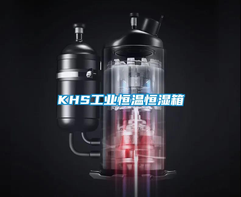 KHS工业恒温恒湿箱