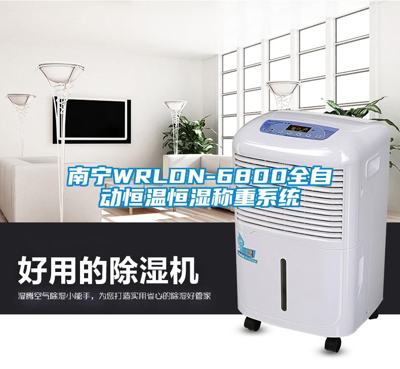 南宁WRLDN-6800全自动恒温恒湿称重系统