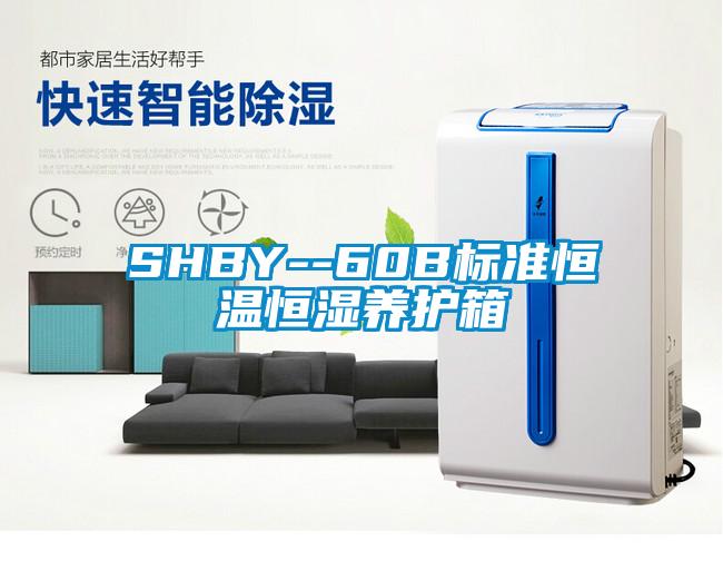 SHBY--60B标准恒温恒湿养护箱