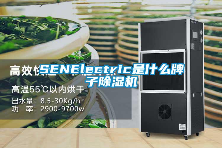 SENElectric是什么牌子除湿机