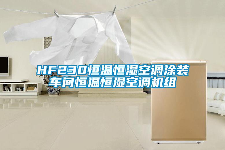 HF230恒温恒湿空调涂装车间恒温恒湿空调机组