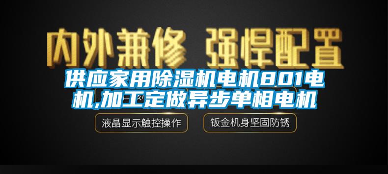 供应家用除湿机电机801电机,加工定做异步单相电机