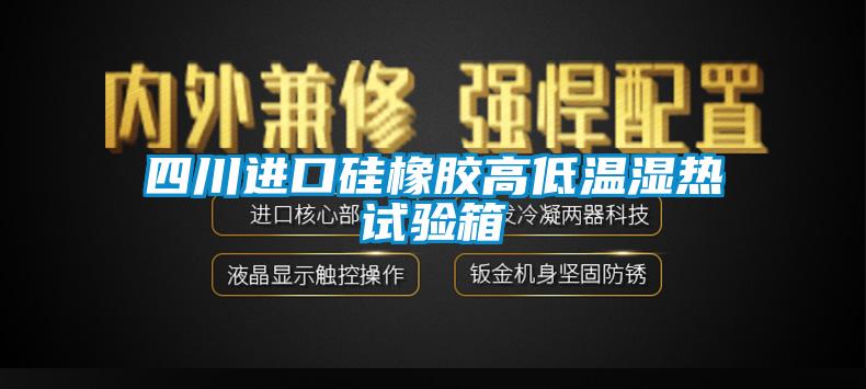 四川进口硅橡胶高低温湿热试验箱