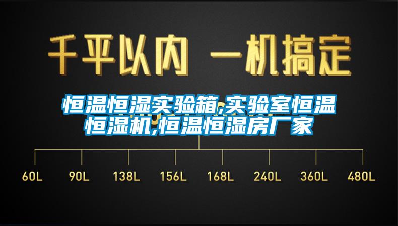 恒温恒湿实验箱,实验室恒温恒湿机,恒温恒湿房厂家