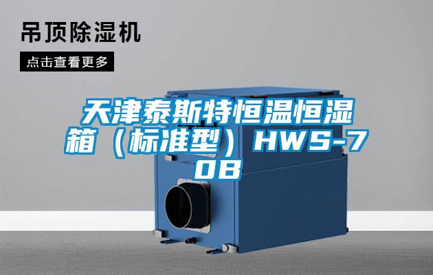 天津泰斯特恒温恒湿箱（标准型）HWS-70B