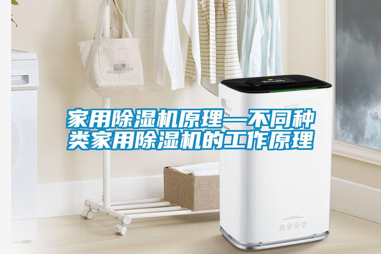 家用除湿机原理—不同种类家用除湿机的工作原理