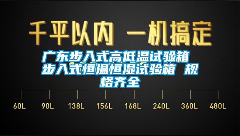 广东步入式高低温试验箱 步入式恒温恒湿试验箱 规格齐全