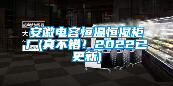 安徽电容恒温恒湿柜厂(真不错！2022已更新)