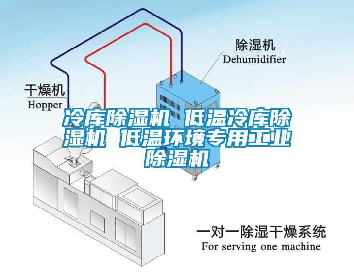 冷库除湿机 低温冷库除湿机 低温环境专用工业除湿机