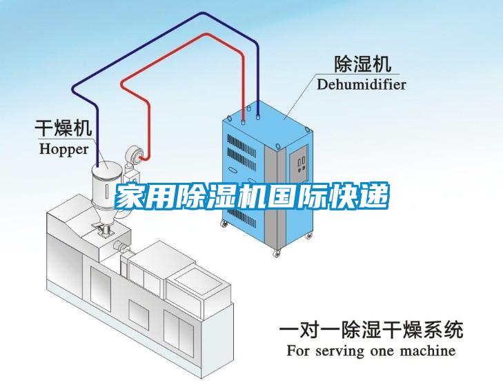 家用除湿机国际快递