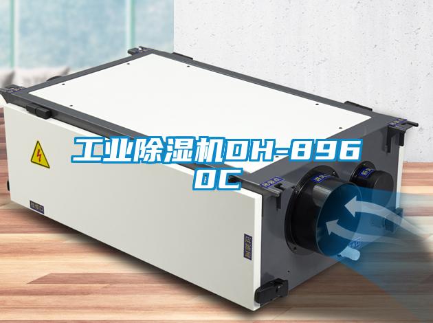 工业除湿机DH-8960C