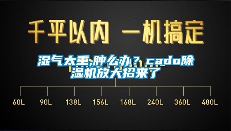 湿气太重,肿么办？cado除湿机放大招来了