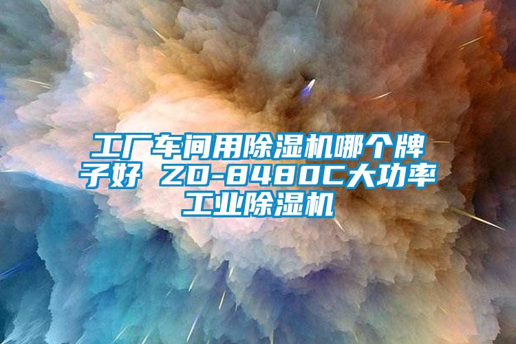 工厂车间用除湿机哪个牌子好 ZD-8480C大功率工业除湿机