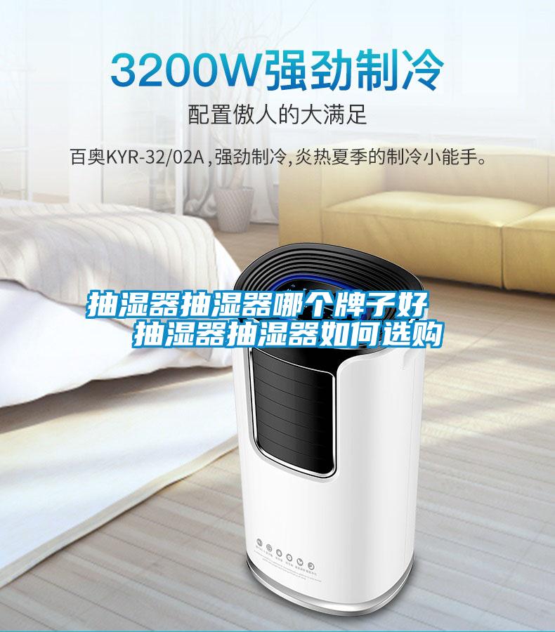 抽湿器抽湿器哪个牌子好   抽湿器抽湿器如何选购