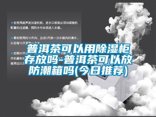 普洱茶可以用除湿柜存放吗-普洱茶可以放防潮箱吗(今日推荐)