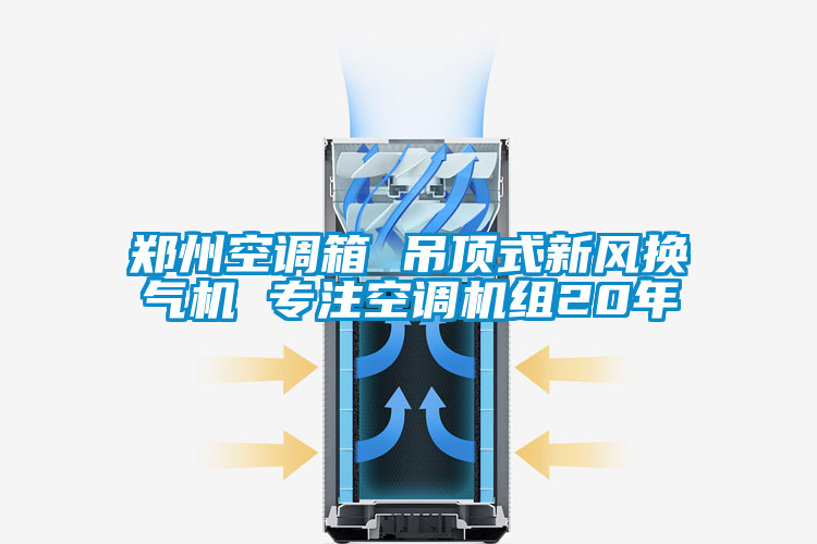 郑州空调箱 吊顶式新风换气机 专注空调机组20年