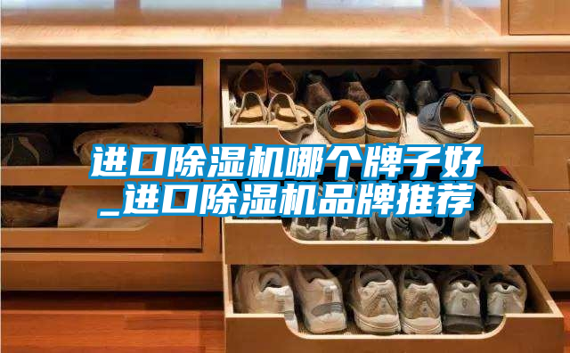 进口除湿机哪个牌子好_进口除湿机品牌推荐