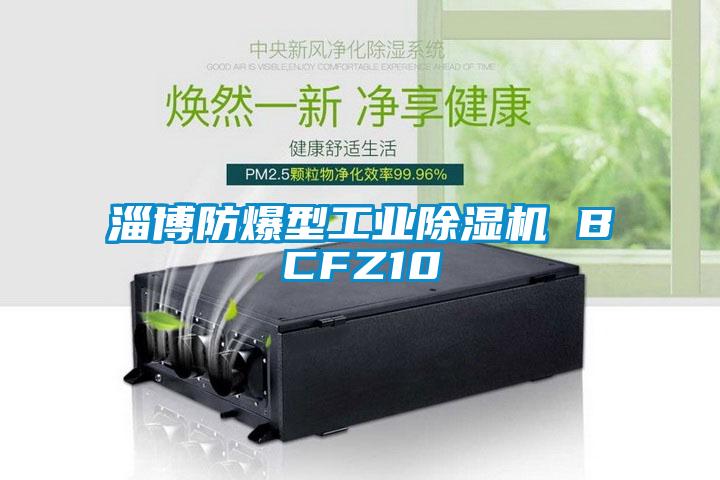 淄博防爆型工业除湿机 BCFZ10