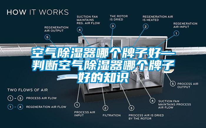 空气除湿器哪个牌子好—判断空气除湿器哪个牌子好的知识