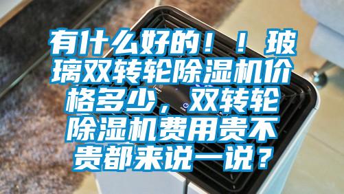 有什么好的！！玻璃双转轮除湿机价格多少，双转轮除湿机费用贵不贵都来说一说？