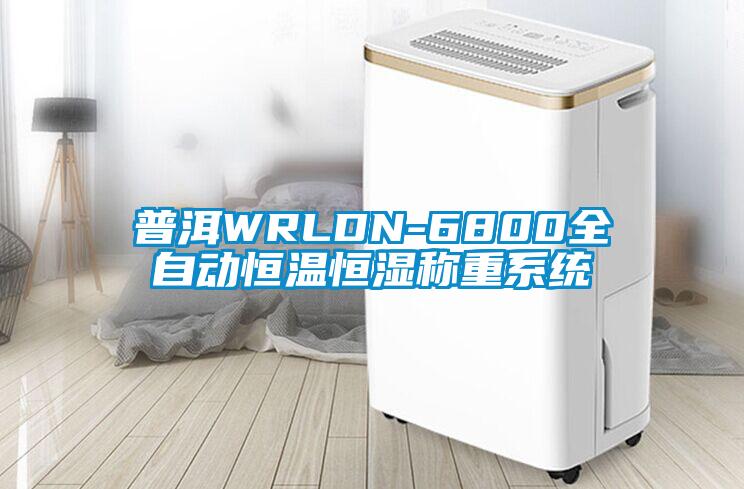 普洱WRLDN-6800全自动恒温恒湿称重系统