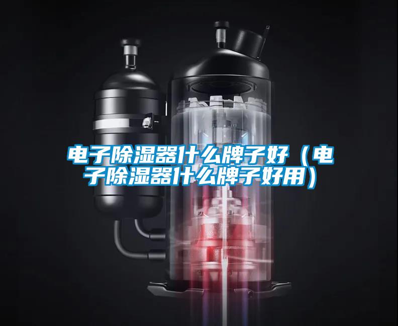 电子除湿器什么牌子好（电子除湿器什么牌子好用）