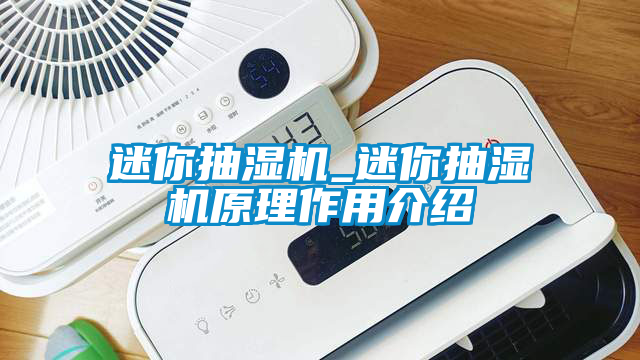 迷你抽湿机_迷你抽湿机原理作用介绍